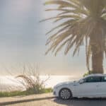Auto steht auf Parkplatz unter Palme am Meer