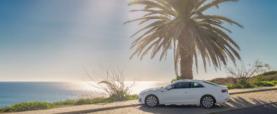 Auto steht auf Parkplatz unter Palme am Meer