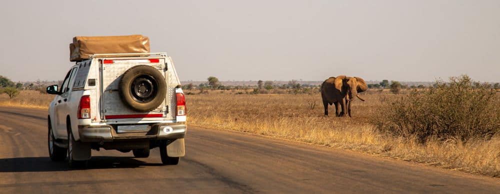 Sunny Cars Mietwagen in Namibia mit Elefant